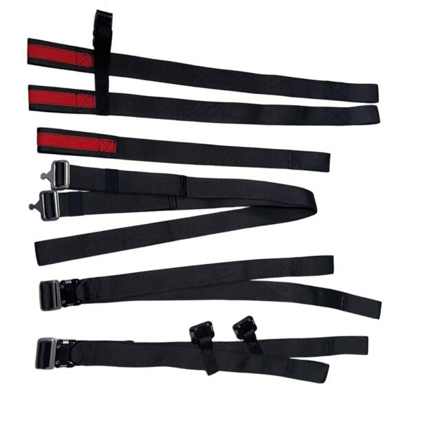 Cinturones de seguridad para sillas Mustang